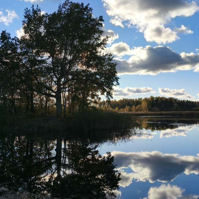 Фотографии Погоды в Мир. Прогнозы погоды с чудесными фотографиями, сделанными Valiukas