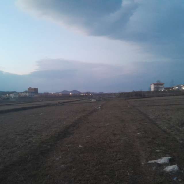 天气预报，带Soheilpmi精美的照片