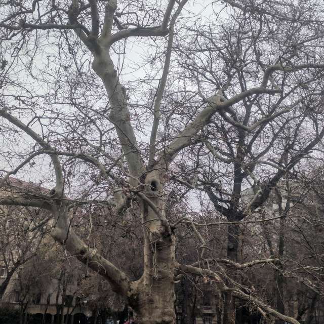 Pronósticos del tiempo con hermosas fotos de YanBog