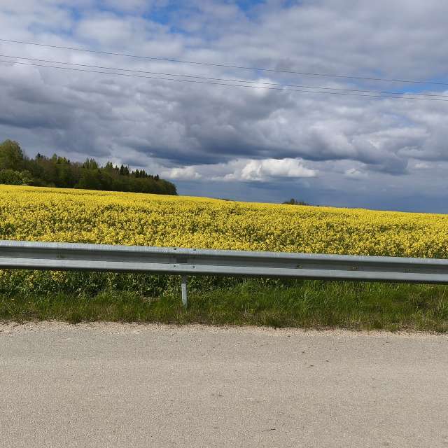 Hintergrund. Wettervorhersagen mit schönen Fotos von Valiukas Fotos Litauen