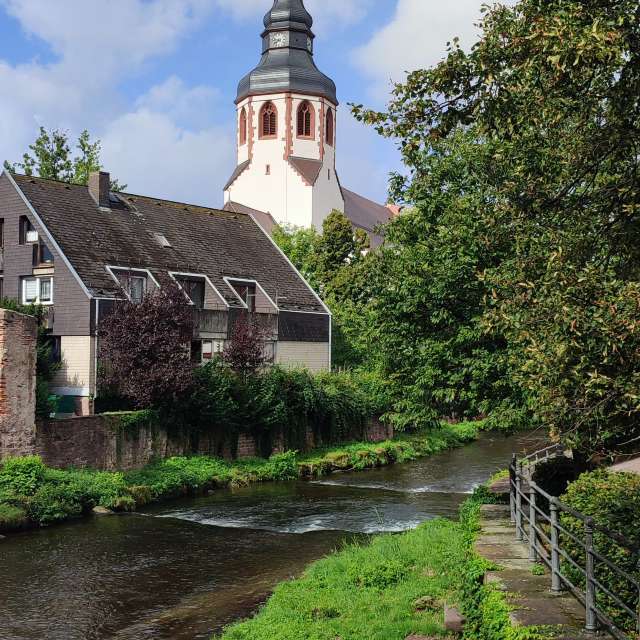 Path. Weather forecasts with beautiful photos by Tercis Photos in Ettlingen