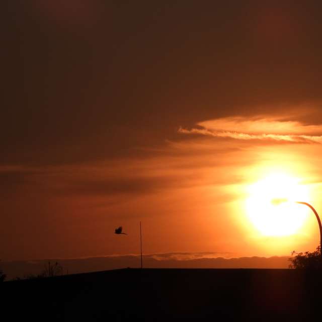 Fotos Luz. Previsões do tempo com lindas fotos de Vasek325 em Praha 4