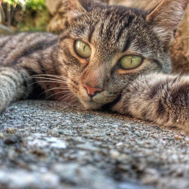 Прогнозы погоды с чудесными фотографиями, сделанными Silly