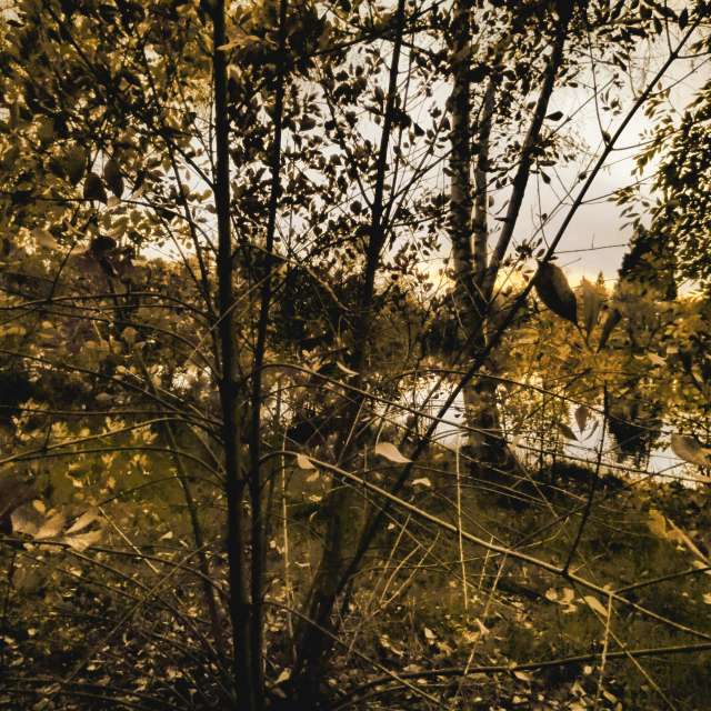 天气预报，带Ghostroku精美的照片