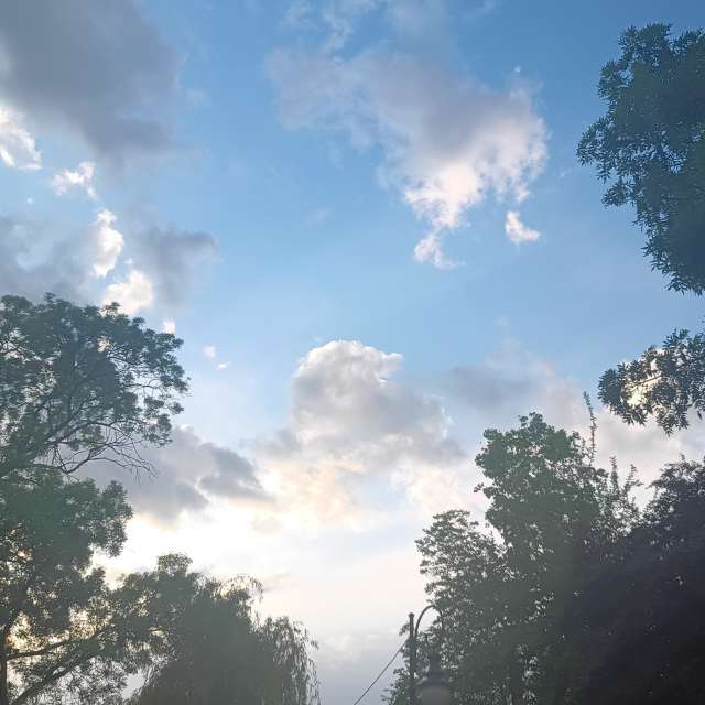 Fotos del Camino. Pronósticos del tiempo con hermosas fotos de YanBog en București