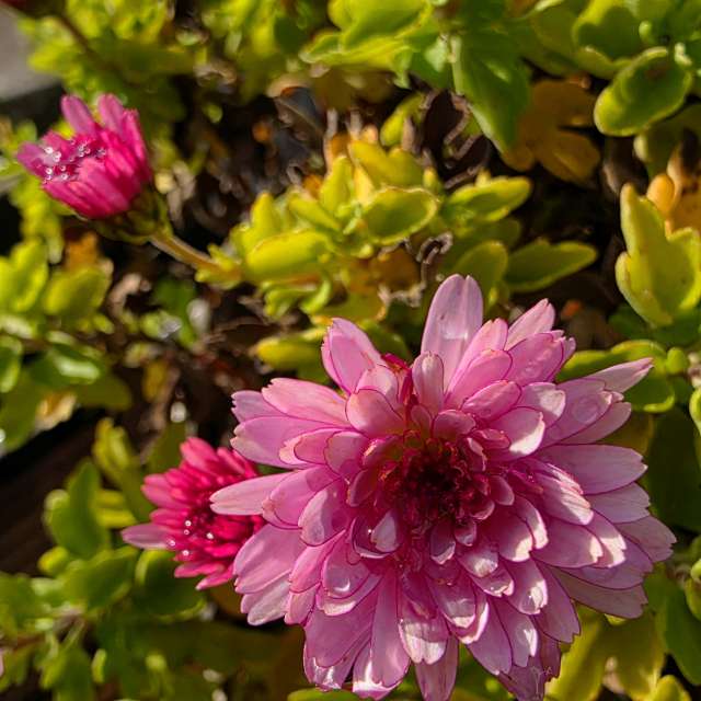 Clear. Weather forecasts with beautiful photos by Seni Photos in Velbert