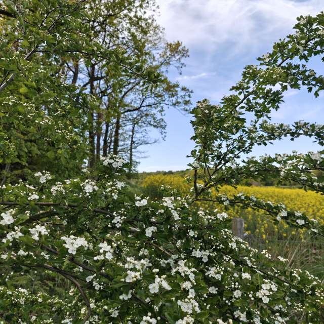 Wettervorhersagen mit schönen Fotos von dmolitor