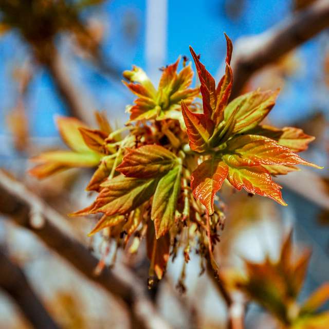 Weather Photos in Winnipeg. Weather forecasts with beautiful photos by 1stEyeFocused