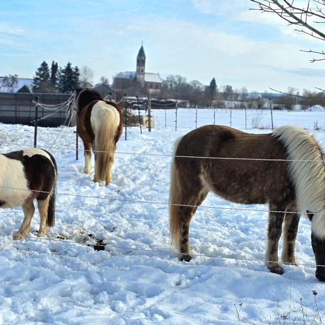Helaの美しい写真による天気予報