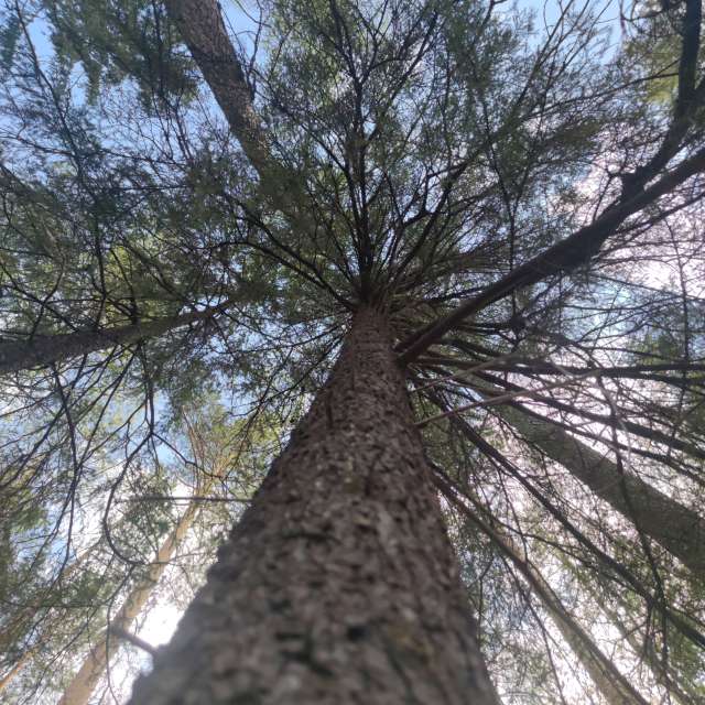 Dự báo thời tiết với những bức ảnh đẹp của JokerMentos