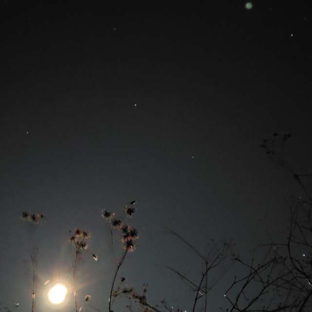 Weather forecasts with beautiful photos by umemui