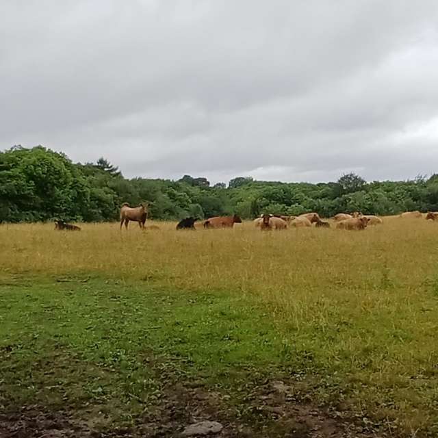 Прогнозы погоды с чудесными фотографиями, сделанными Lolli