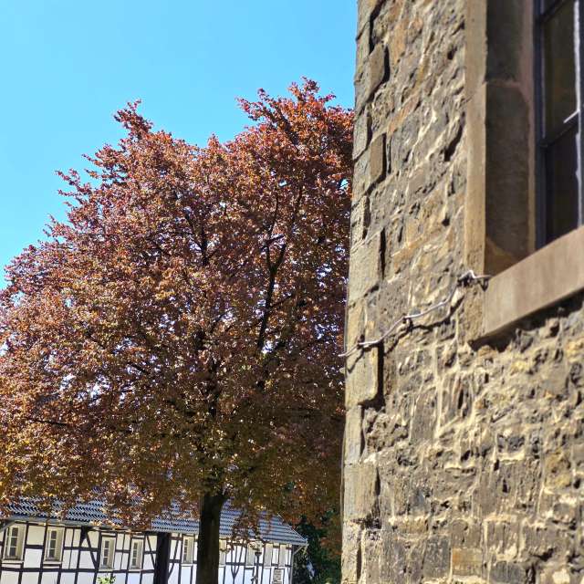 Photos Brique. Prévisions météo avec de superbes photos de Seni de Velbert