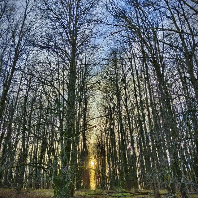 天气预报，带Aleksei精美的照片