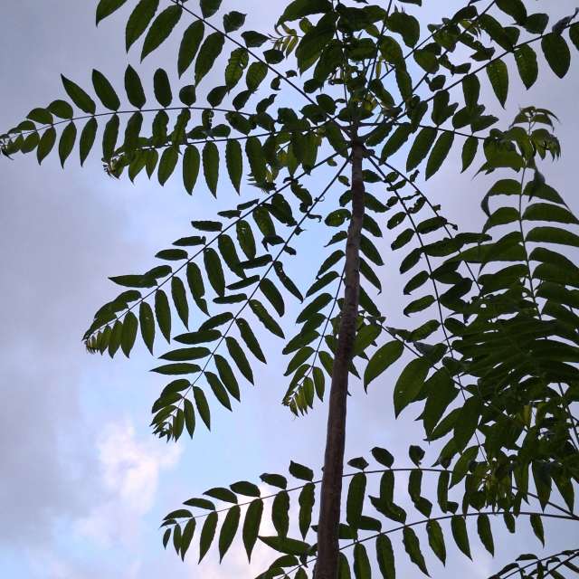Traffic. Weather forecasts with beautiful photos by Wen-ya Huang Photos in Kaohsiung City