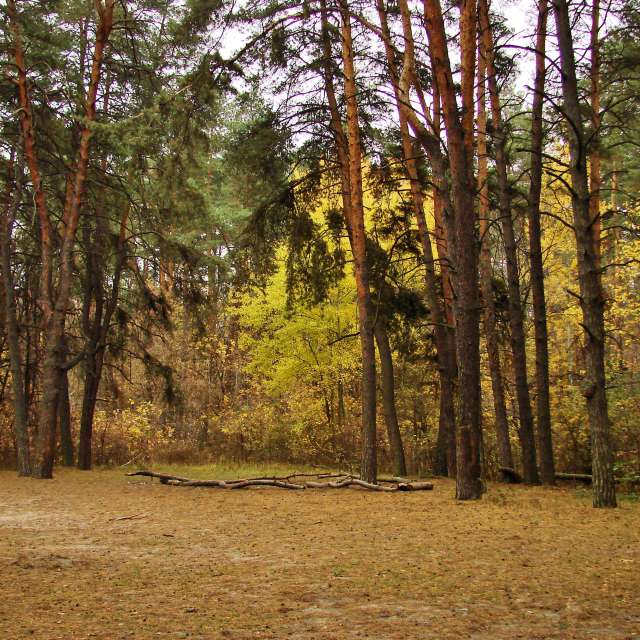 Open. Weather forecasts with beautiful photos by Михаил Гавриков Photos in Kharkiv