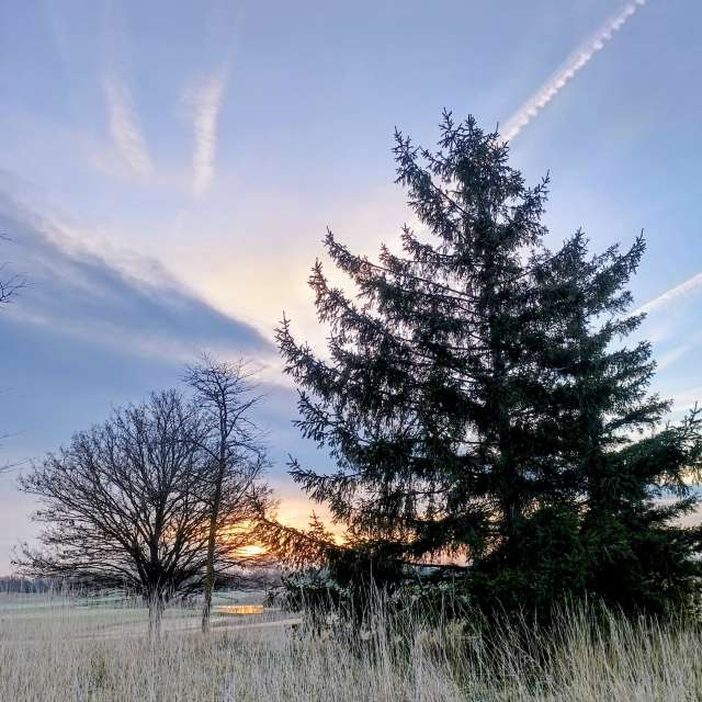 Wettervorhersagen mit schönen Fotos von Kripo