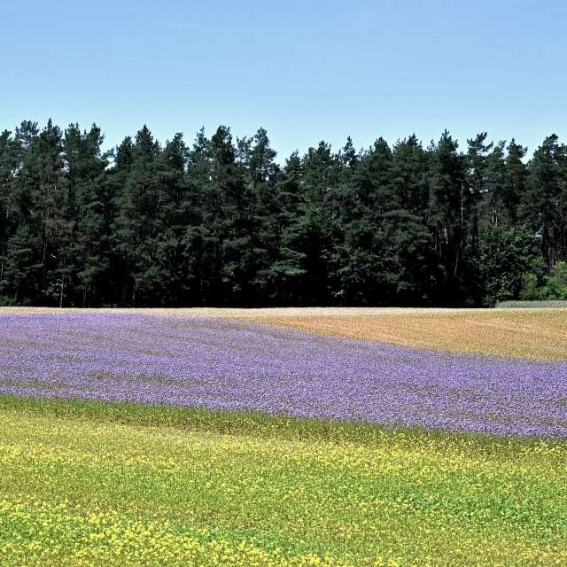 Weather forecasts with beautiful photos by T-Antonio