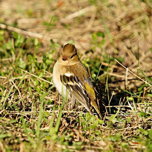 GREENE. Weather forecasts with beautiful photos by tony5636 Photos in World