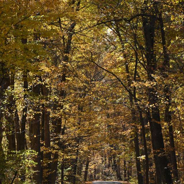 Riding. Weather forecasts with beautiful photos by krantzjh Photos in Clifty Falls State Park