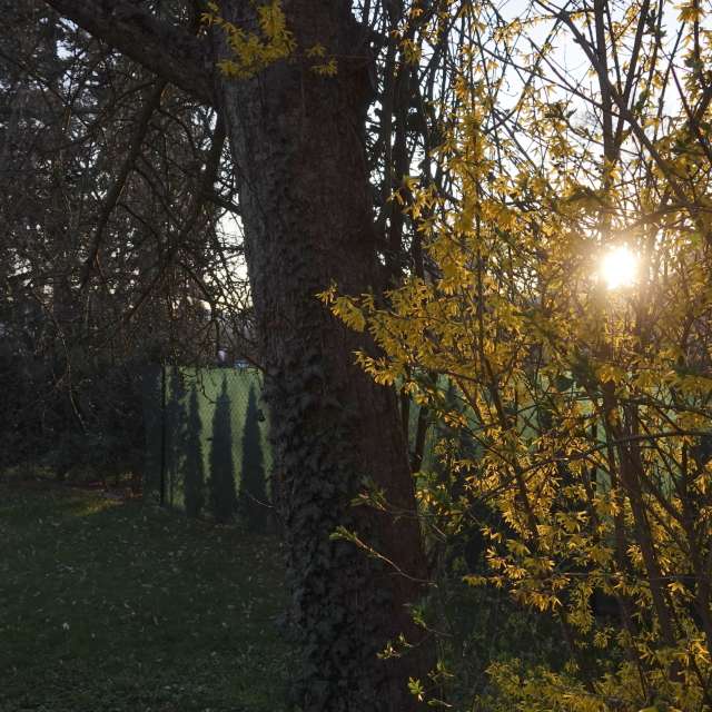 Fotos Caminho. Previsões do tempo com lindas fotos de Vasek325 em Praha 4