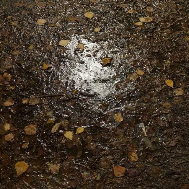 Previsões do tempo com lindas fotos de Vasek325