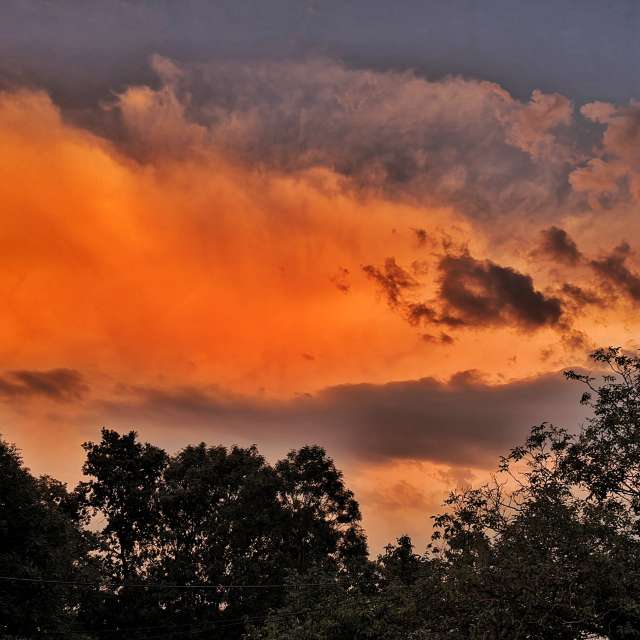 Weather forecasts with beautiful photos by George Popo
