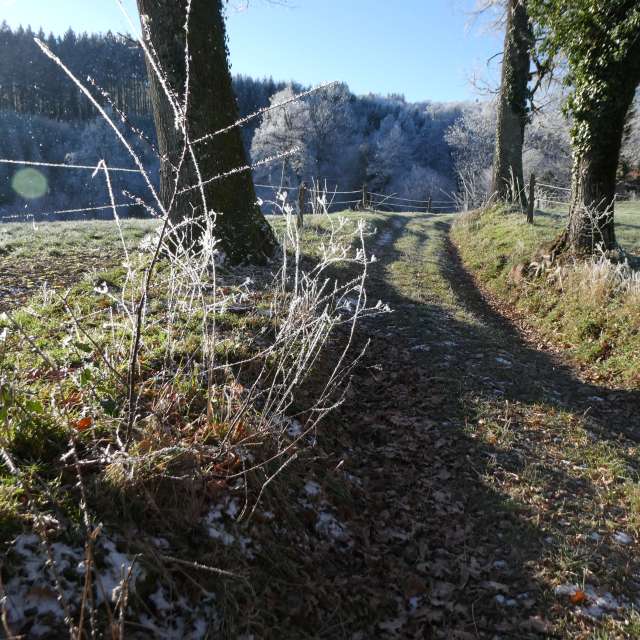 Прогнозы погоды с чудесными фотографиями, сделанными Fredy_Hiker