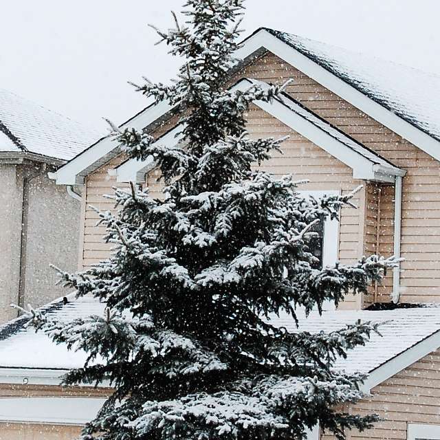 Weather Photos in Winnipeg. Weather forecasts with beautiful photos by 1stEyeFocused