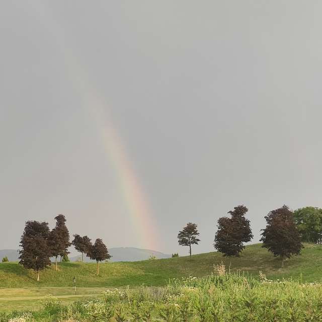 Weide. Wettervorhersagen mit schönen Fotos von Kripo Fotos Niederösterreich