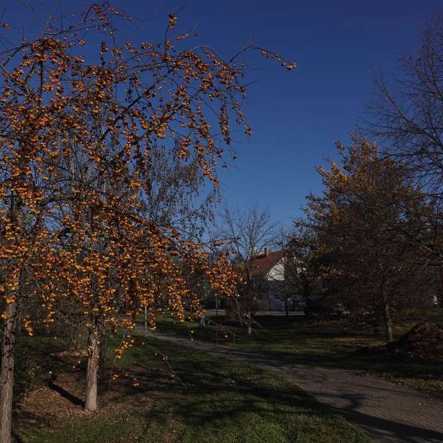 Previsões do tempo com lindas fotos de Vasek325