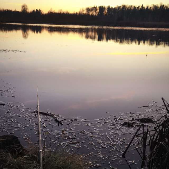 Прогнозы погоды с чудесными фотографиями, сделанными Valiukas