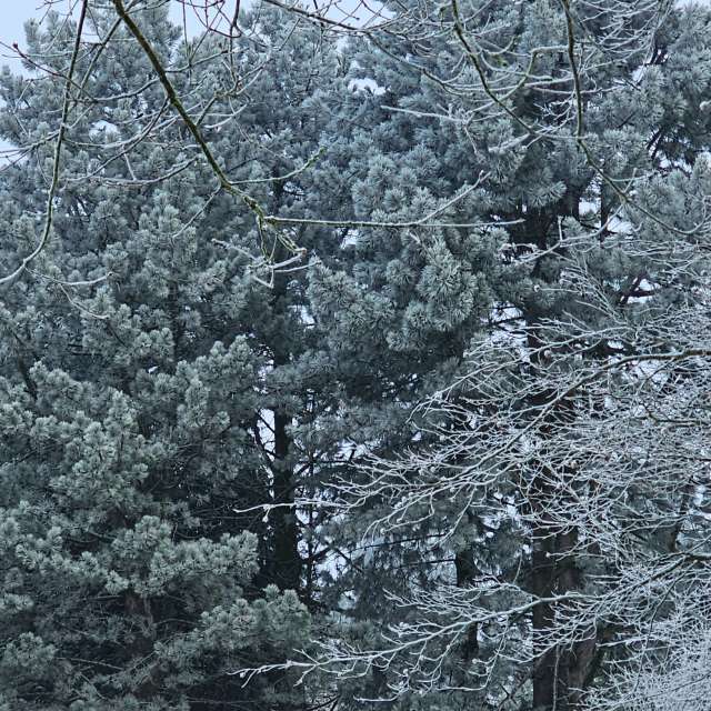 Photos Croix. Prévisions météo avec de superbes photos de Seni de Velbert