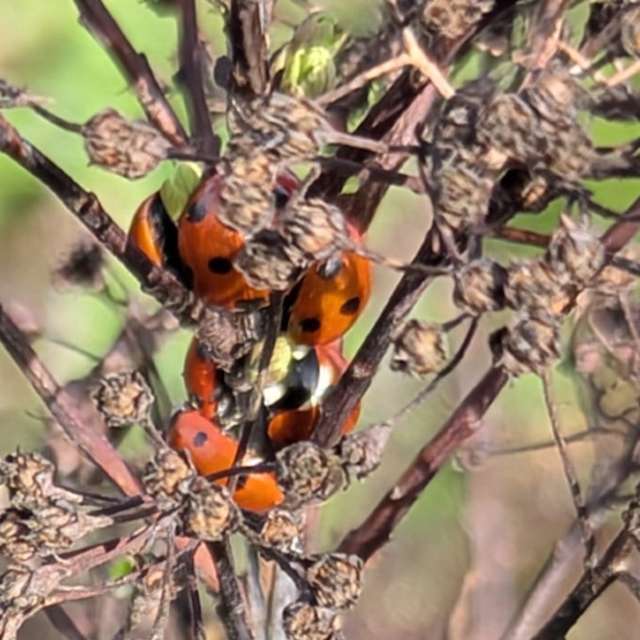 Прогнозы погоды с чудесными фотографиями, сделанными Sunshinelady62