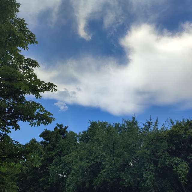 Airplane. Weather forecasts with beautiful photos by Tercis Photos in Ettlingen