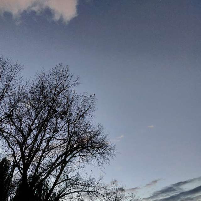 Dusk. Weather forecasts with beautiful photos by Iryna Photos in Kharkiv