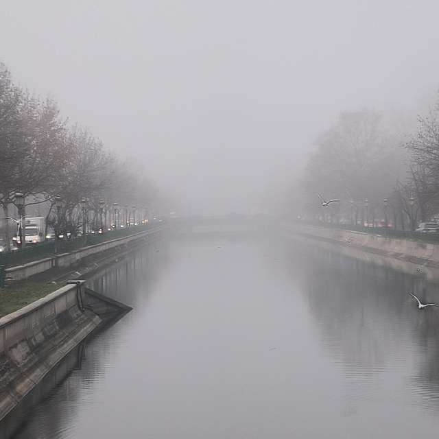 Fotos del Nieve. Pronósticos del tiempo con hermosas fotos de YanBog en Bucharest