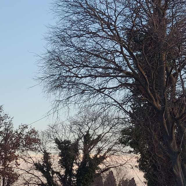 Pronósticos del tiempo con hermosas fotos de G3r4rd