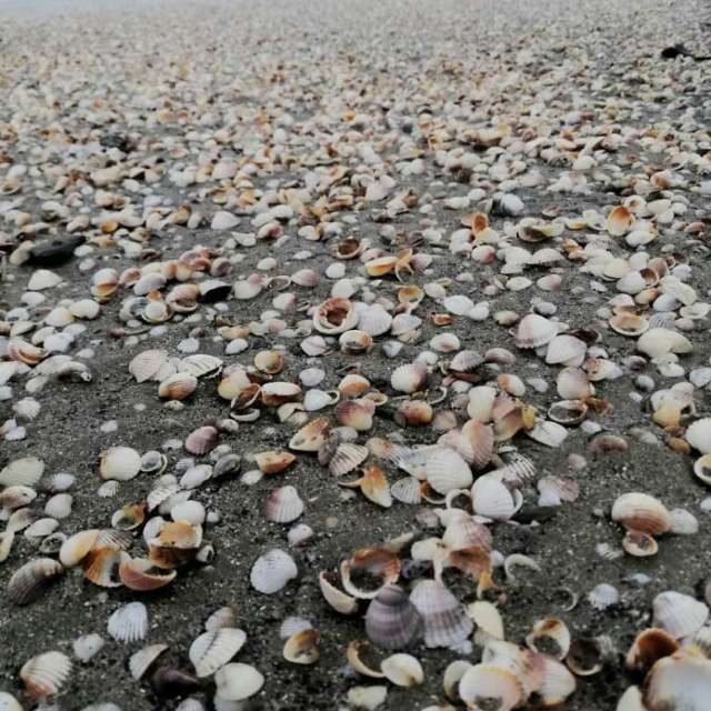 天气预报，带gentlemen55精美的照片