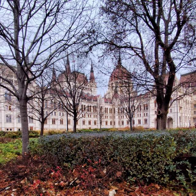 Blume. Wettervorhersagen mit schönen Fotos von sloarai Fotos Budapest