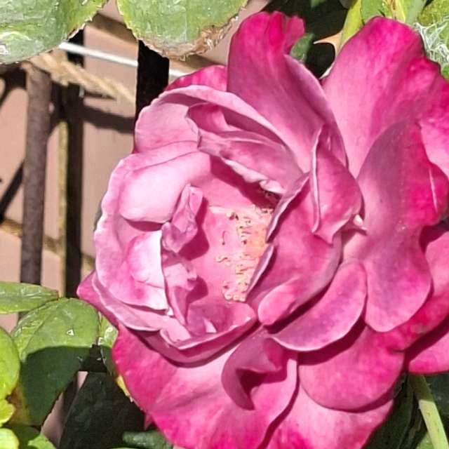 Photos Remplissage. Prévisions météo avec de superbes photos de Wen-ya Huang de Kaohsiung