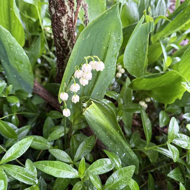 Dự báo thời tiết với những bức ảnh đẹp của mas777777