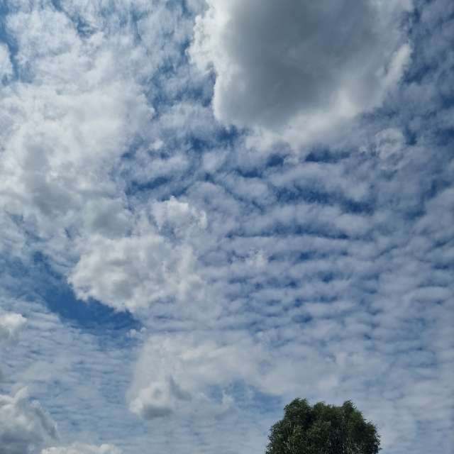 Fotos del Clima. Pronósticos del tiempo con hermosas fotos de Sparass en Osinów Dolny