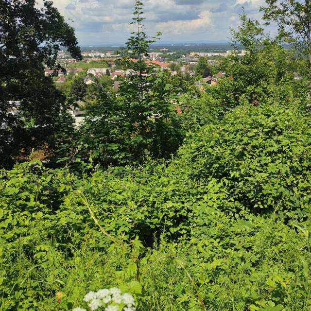 Standing. Weather forecasts with beautiful photos by Tercis Photos in Ettlingen