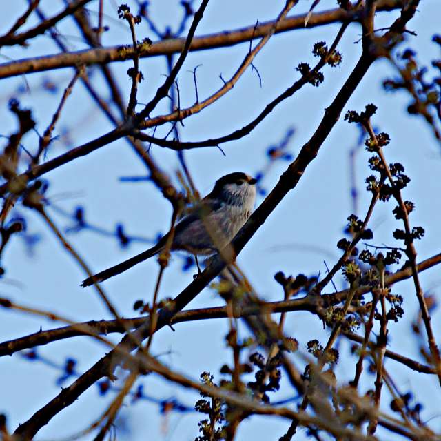 Weather forecasts with beautiful photos by tony5636