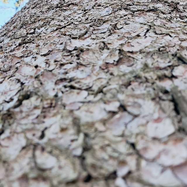 Weather forecasts with beautiful photos by Tercis