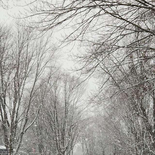 Wettervorhersagen mit schönen Fotos von KevinG