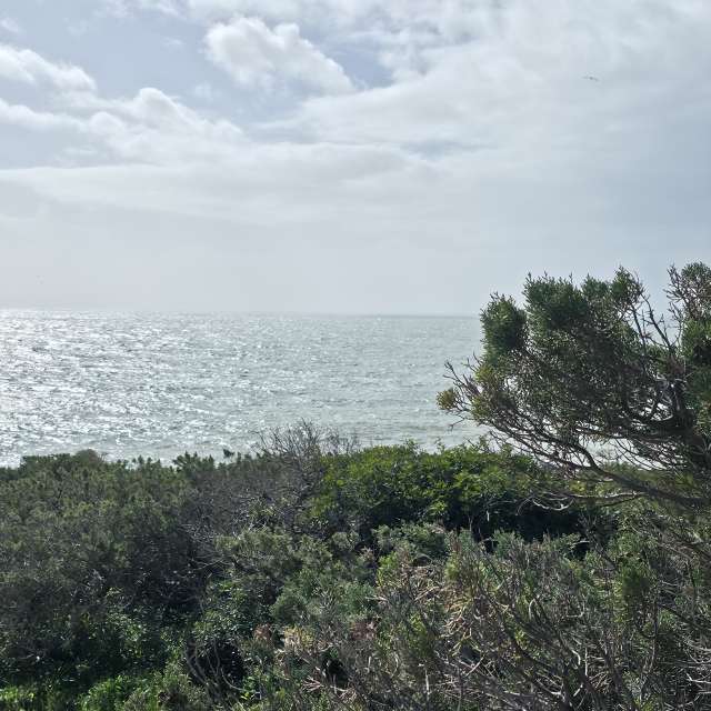 Brtdの美しい写真による天気予報