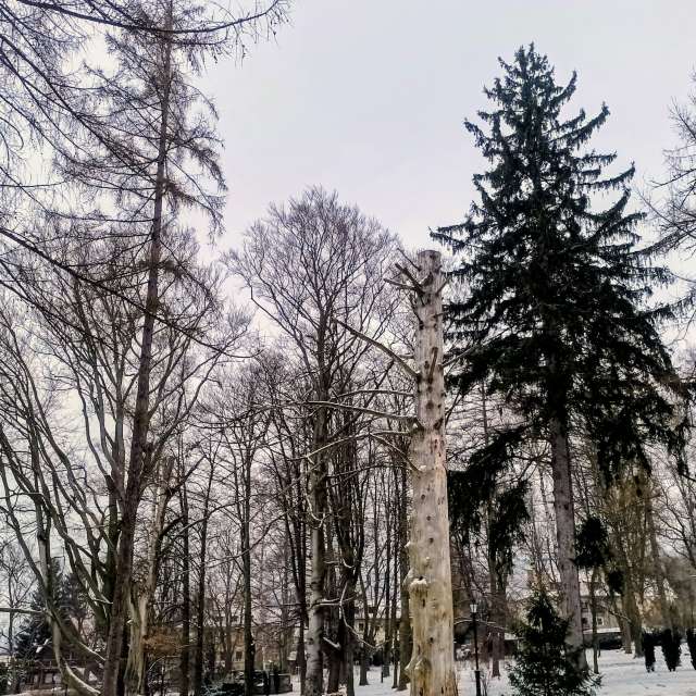 Wettervorhersagen mit schönen Fotos von Kripo