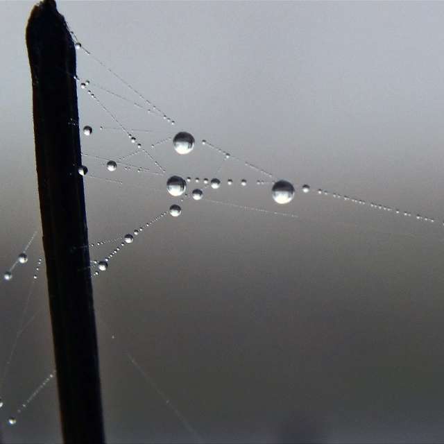 Photos Pluie. Prévisions météo avec de superbes photos de Miloš_SK de Sereď